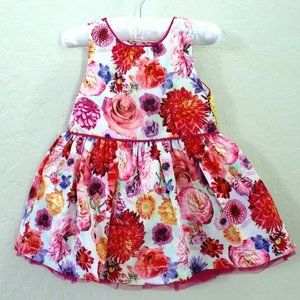 Florabelle Floral Sleeveless Ruffle Dress Size 12 Months